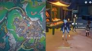 Location of the NPC Limppu in Nasha Town (Image via HoYoverse)